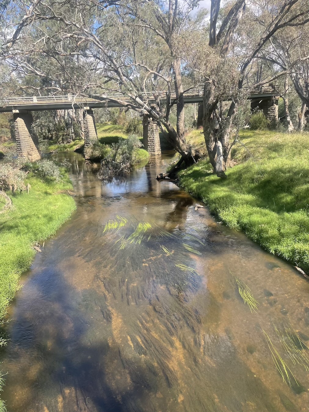 The Campaspe at Axedale