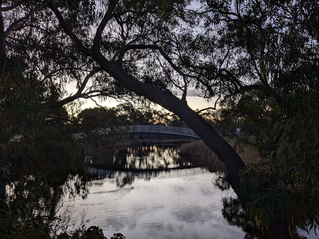 Donald Richardson River view