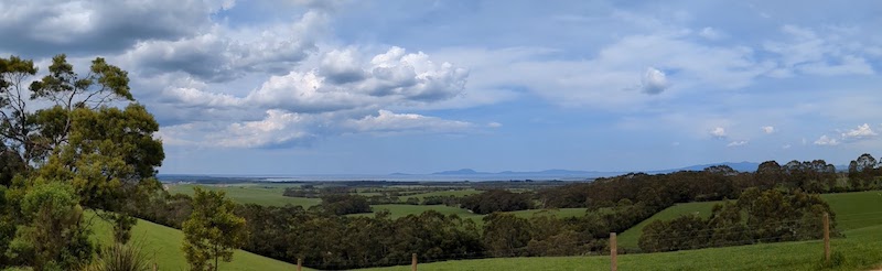 Hoddle lookout