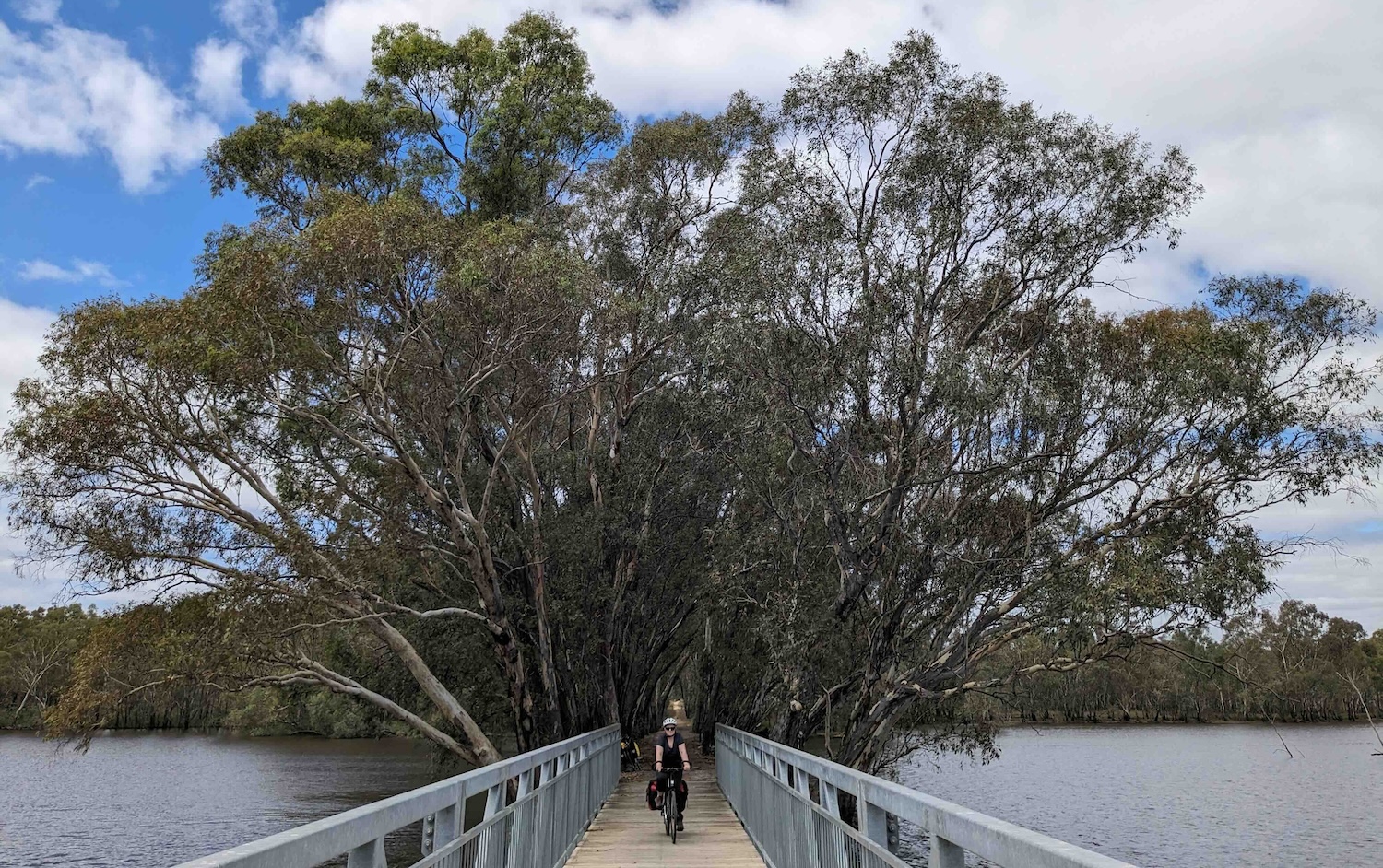 Crossing an arm of Lake Eppalock