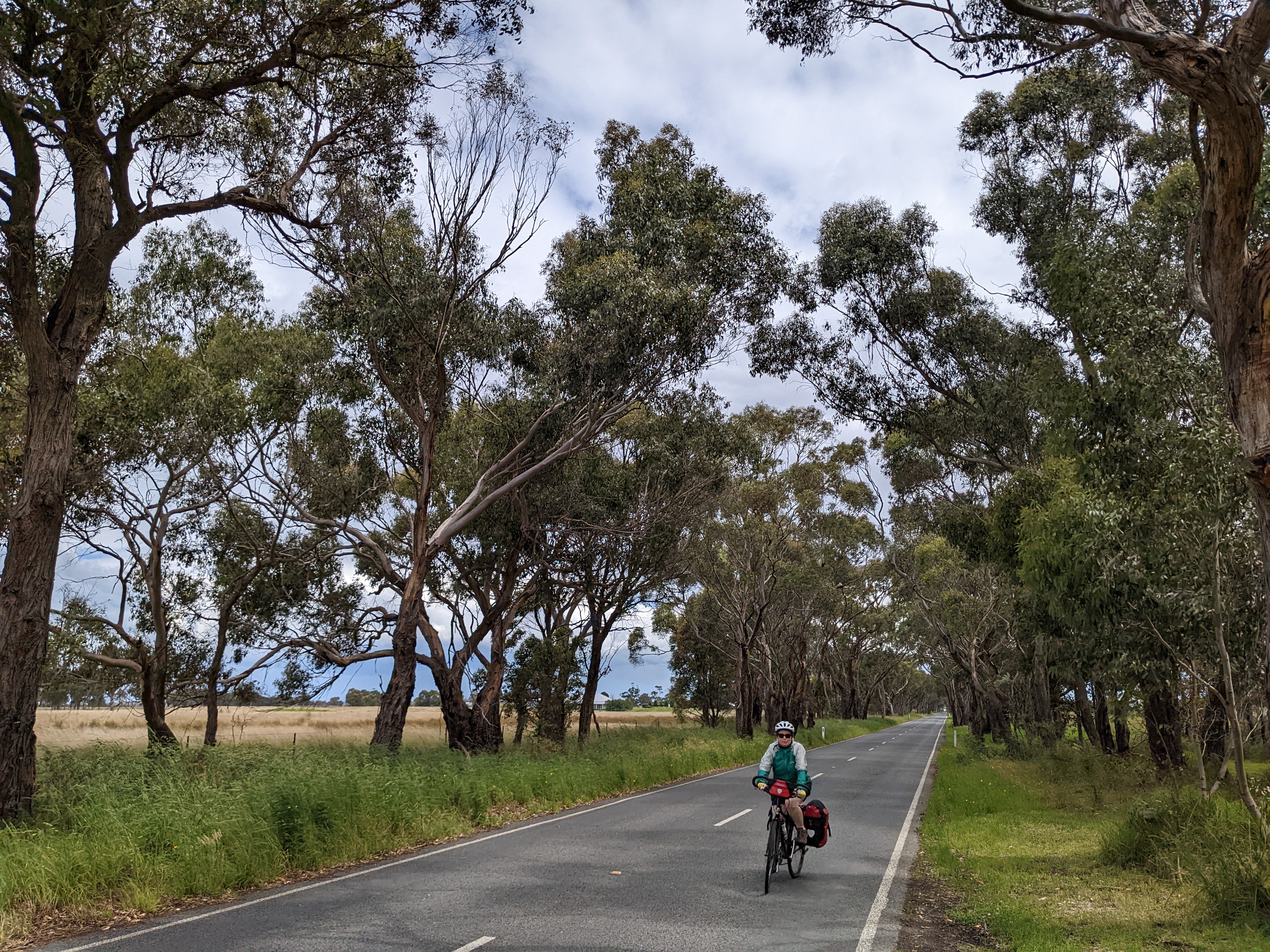 Rowani Road, approaching Paynesville