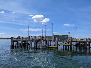 Tankerton Jetty (French I)