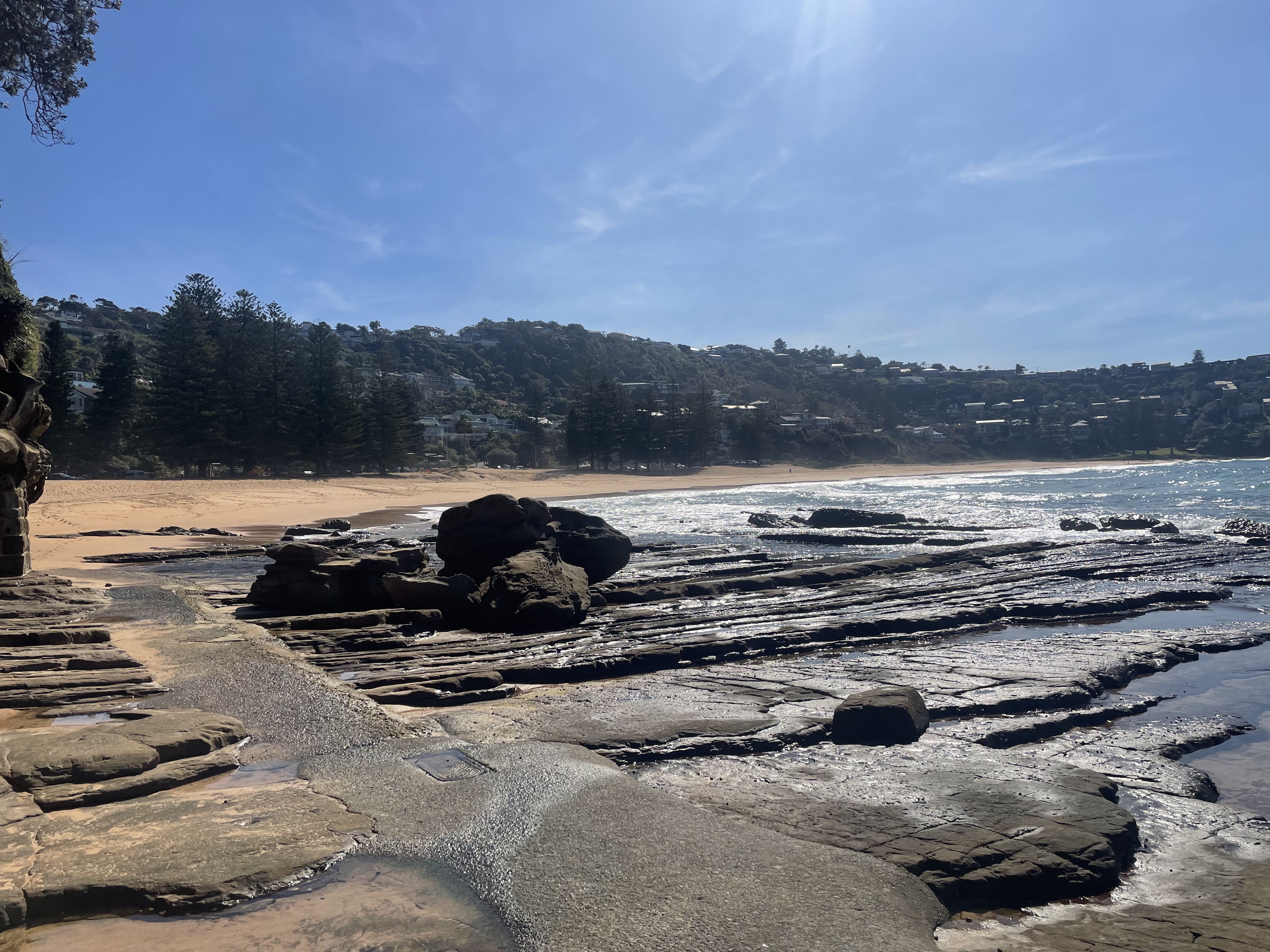 Whale Beach